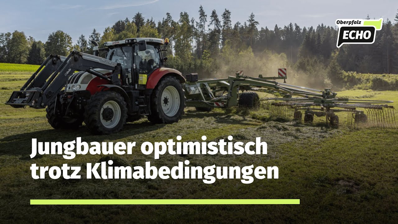 Aus Gras wird Milch: Bei der Grasernte entsteht mit der Silage ein hochwertiges Rinderfutter