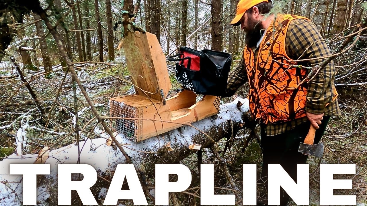 Trapping around Clear Cuts in the North Maine Woods: Episode 33
