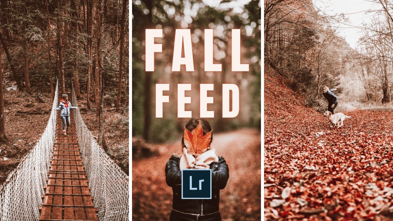 Fall Preset Tutorial | FREE PRESET DNG | How to edit autumn colors