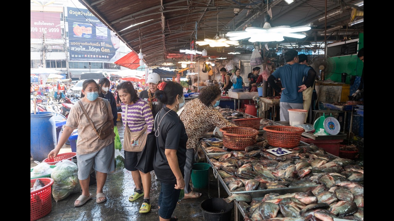 [4K] Exploring Pak Nam fresh market Samut Prakan the best seafood and local life near Bangkok