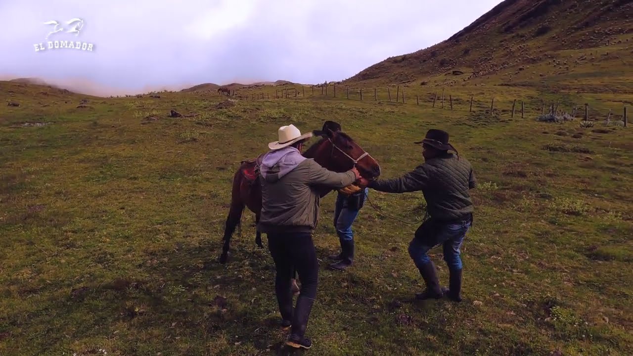 Buscando Caballos Cerreros en los Páramos de Colombia | Versión Invierno | Parte 3
