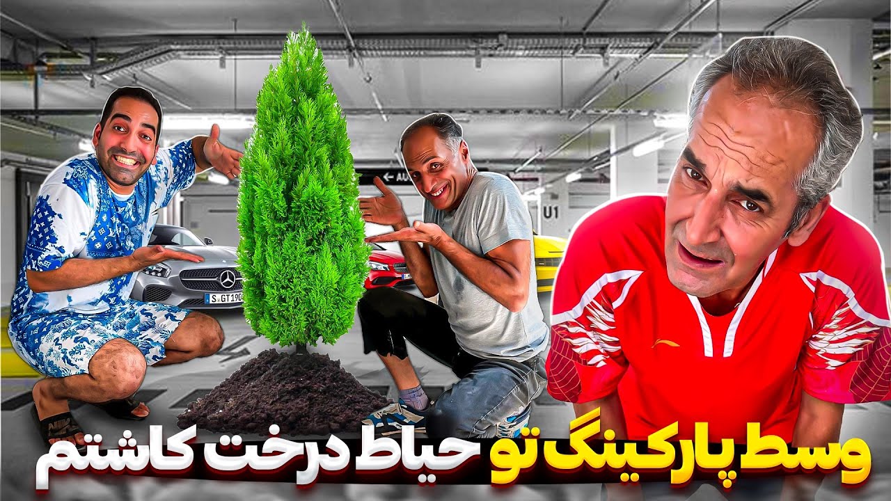 وقتی وسط حیاط درخت میکاری😂