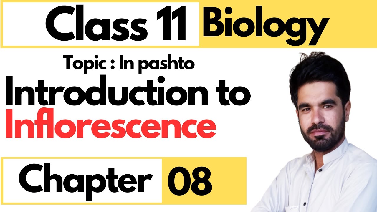 Introduction to inflorescence