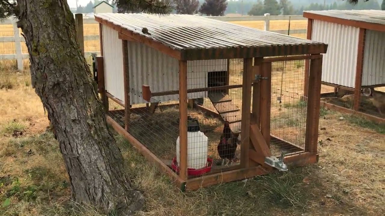 Update on our mobile chicken coops/chicken tractors