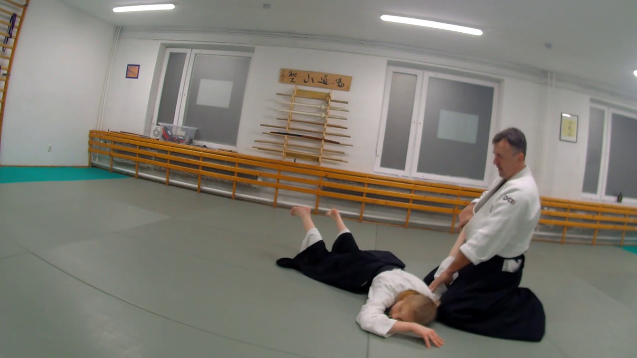 AIHANMI KATETEDORI JIYU WAZA