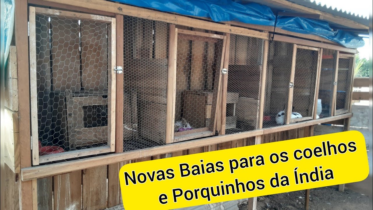 Novas Baias para os coelhos e Porquinhos da Índia