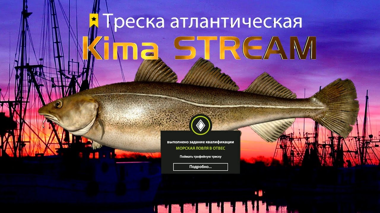 ДОЛГОЖДАННЫЙ ТРОФ ТЕСКИ ))))