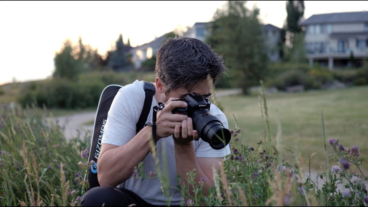 Практические полевые испытания Nikon D7500