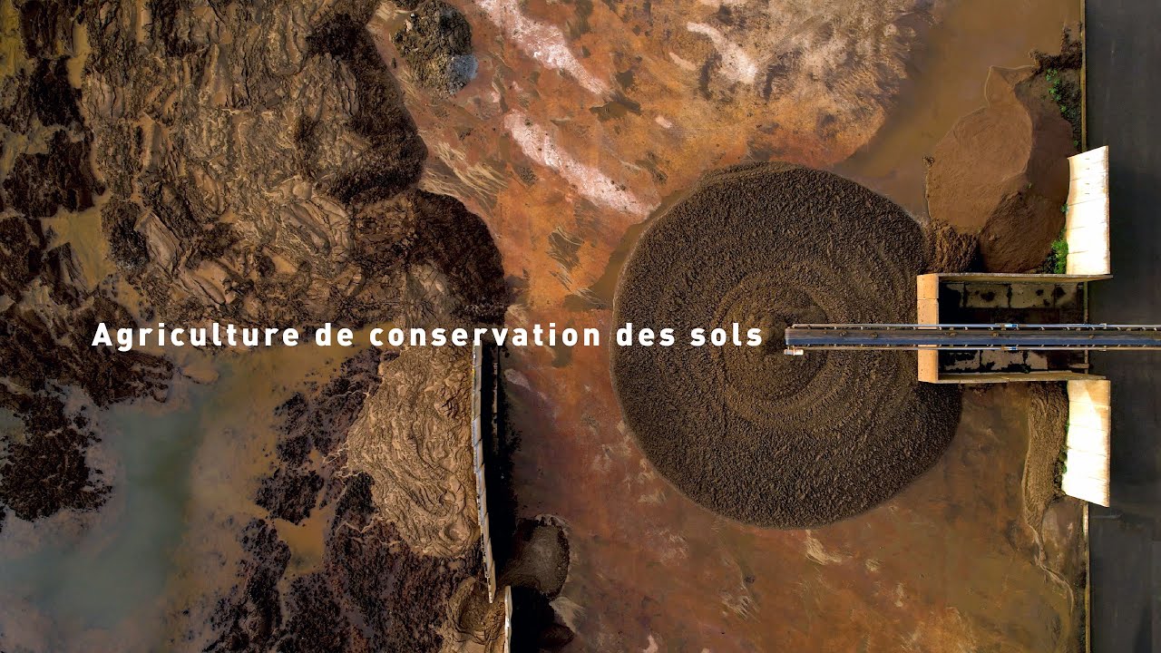 🌍 Préserver nos sols pour préserver notre eau ! 💧🌾