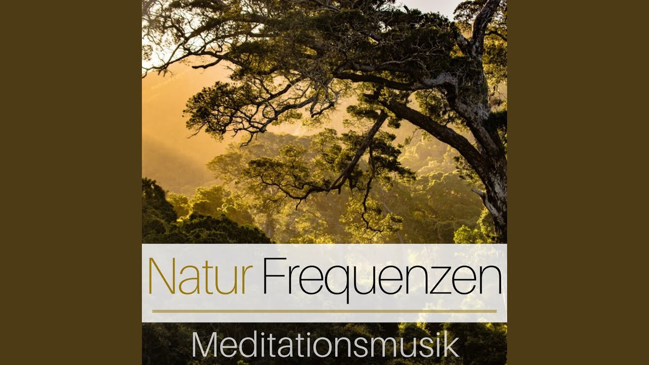 Zen-Meditation Praxis