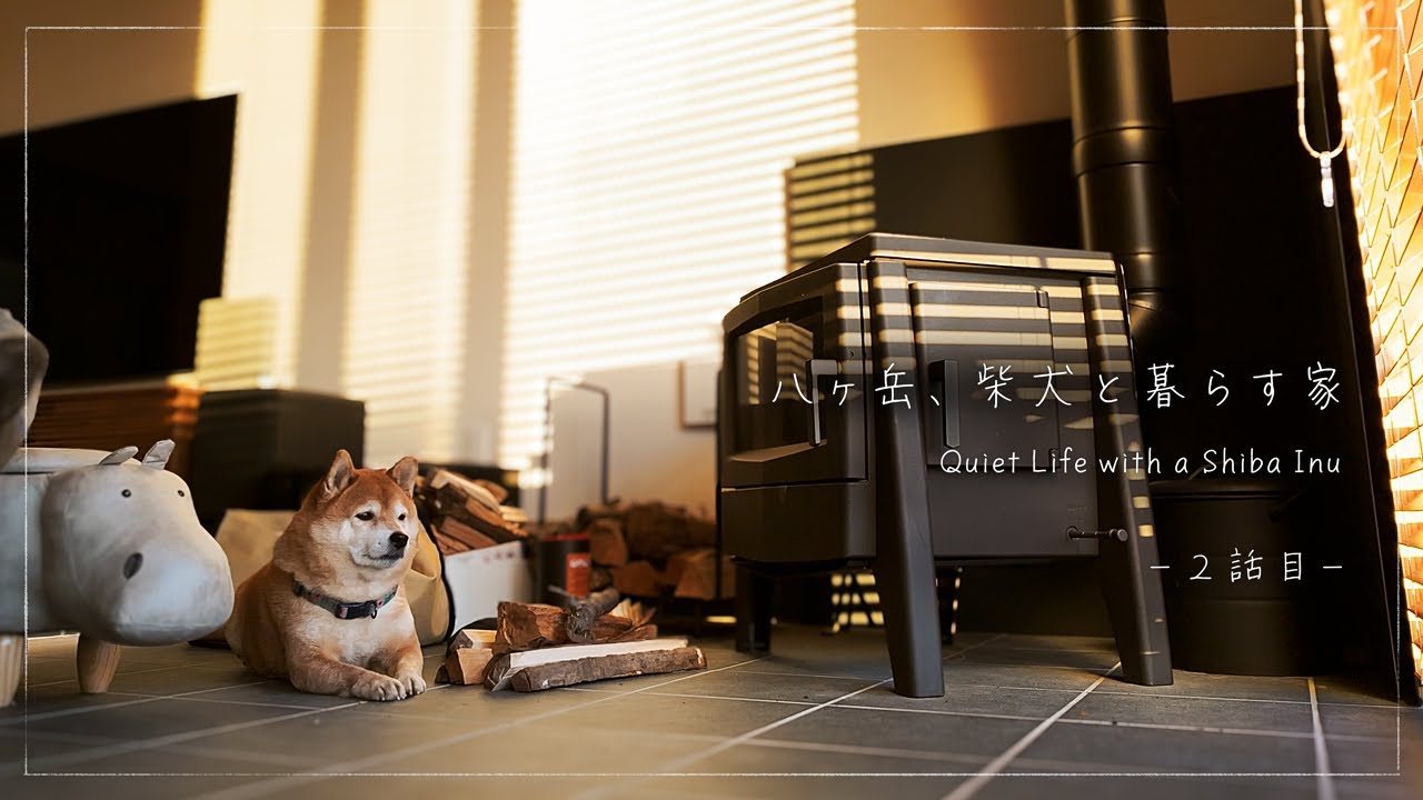 八ヶ岳、柴犬との距離 | Living Close with a Shiba Inu in Rural Japan