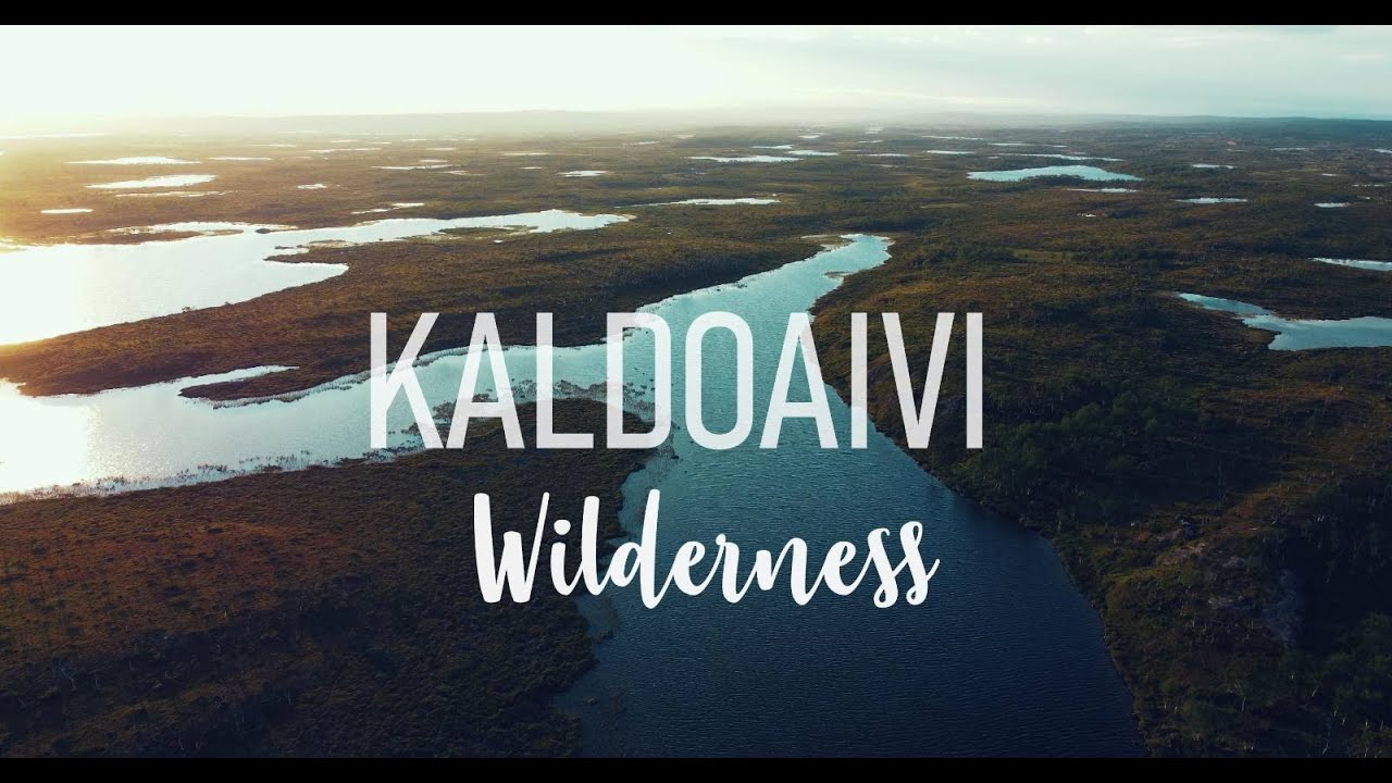 Back to Wilderness