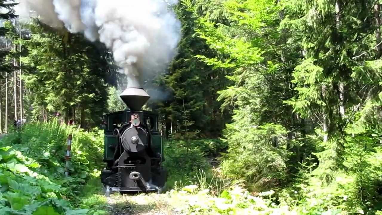 Vlak ve skanzenu Vychylovka - (Slovensko 2012)