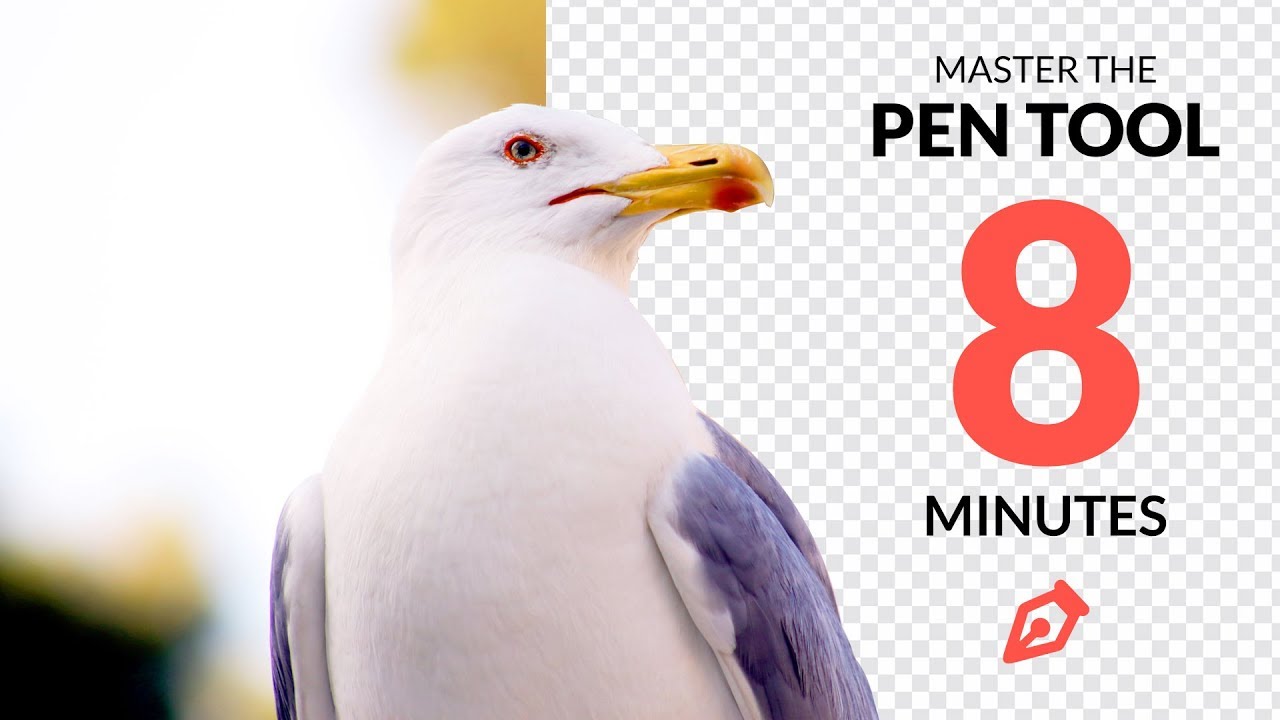 Master the Pen Tool in Under 8 Minutes (Photoshop)
