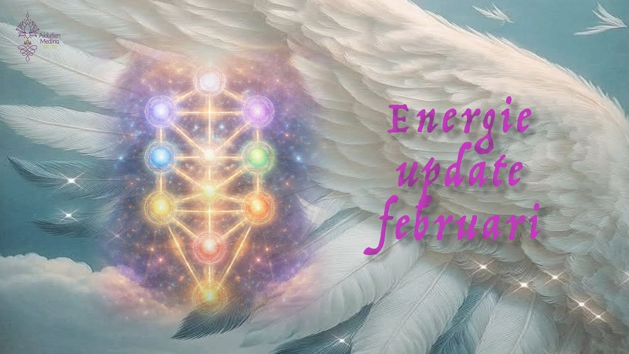 Energie update Februari 2026
