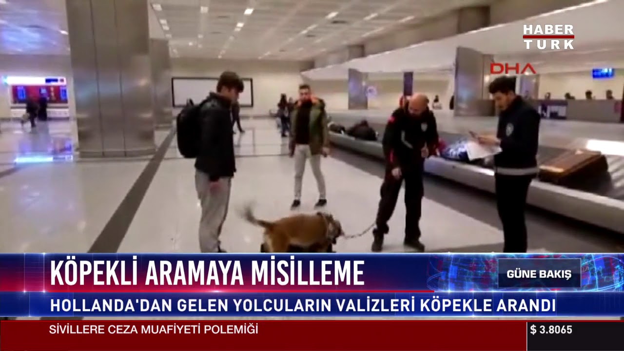 K&ouml;pekli aramaya misilleme