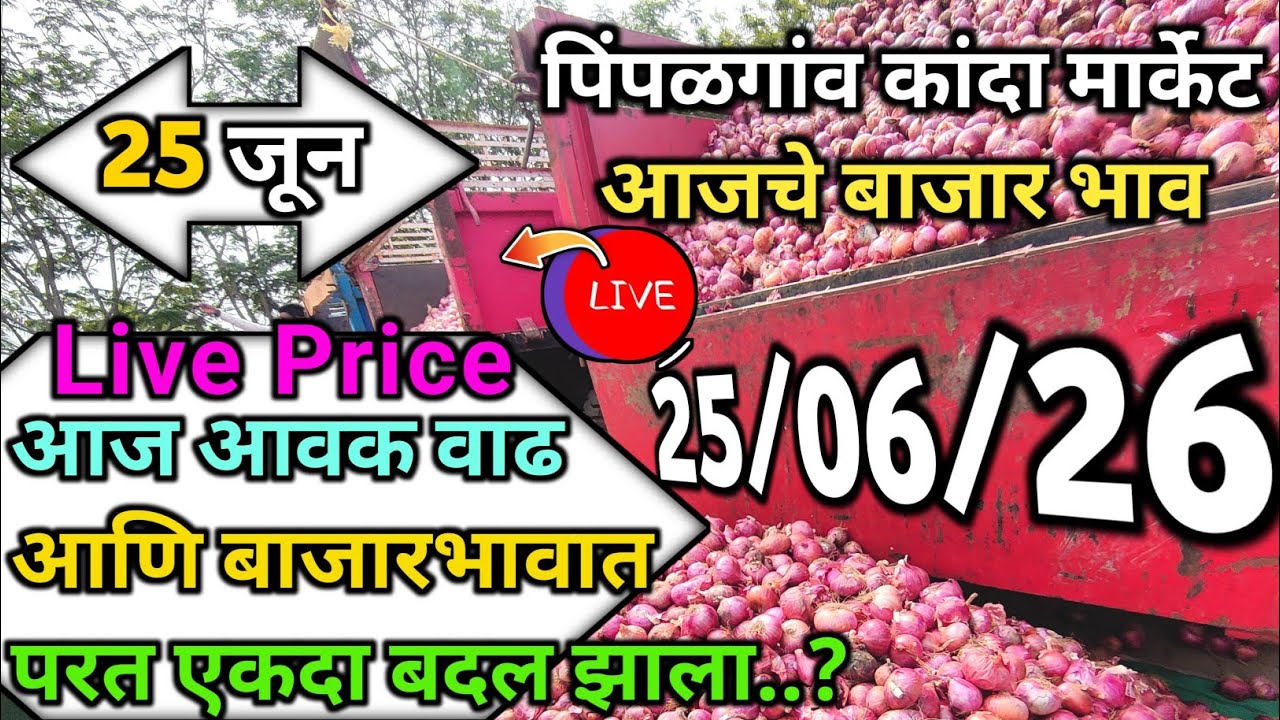 Pimpalgaon Onion Market Price Today:Latest Rates And Insights 25 jun 2026