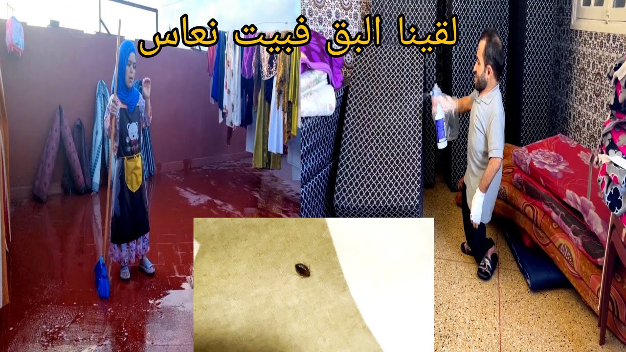 البق دار لينا الحالة فالدار  خرجنا الحوايج كاملين لسطاح 