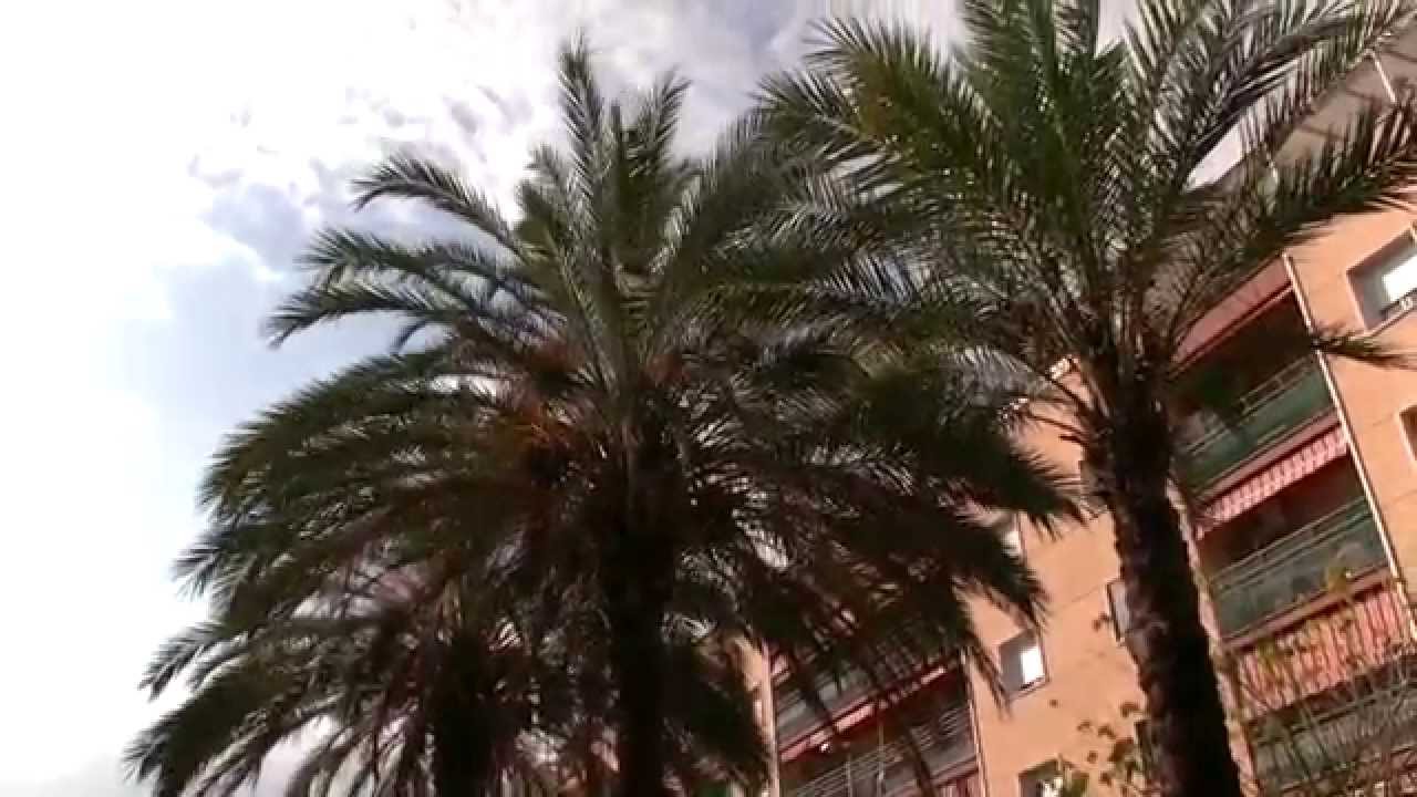 La Llagosta