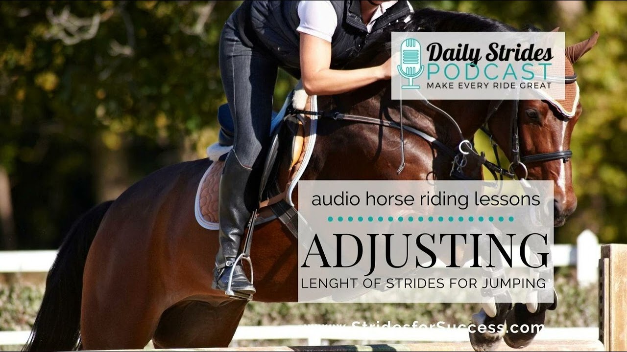Adjusting the Length of Your Horse's Stride for Jumping