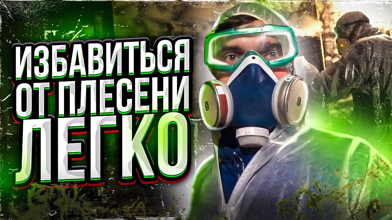 Как избавиться от плесени в подвале? Проверяем бюджетные средства от плесени