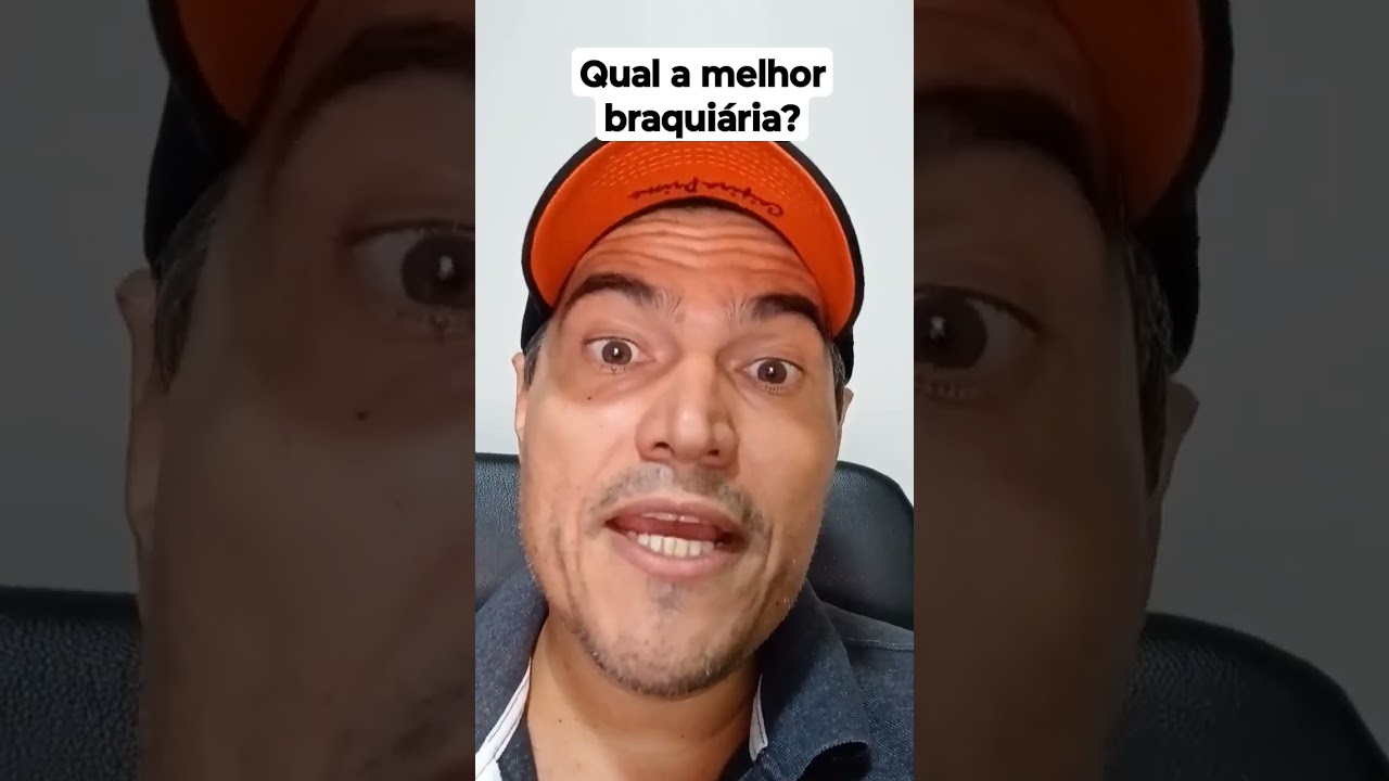 Qual a melhor braqui&aacute;ria?