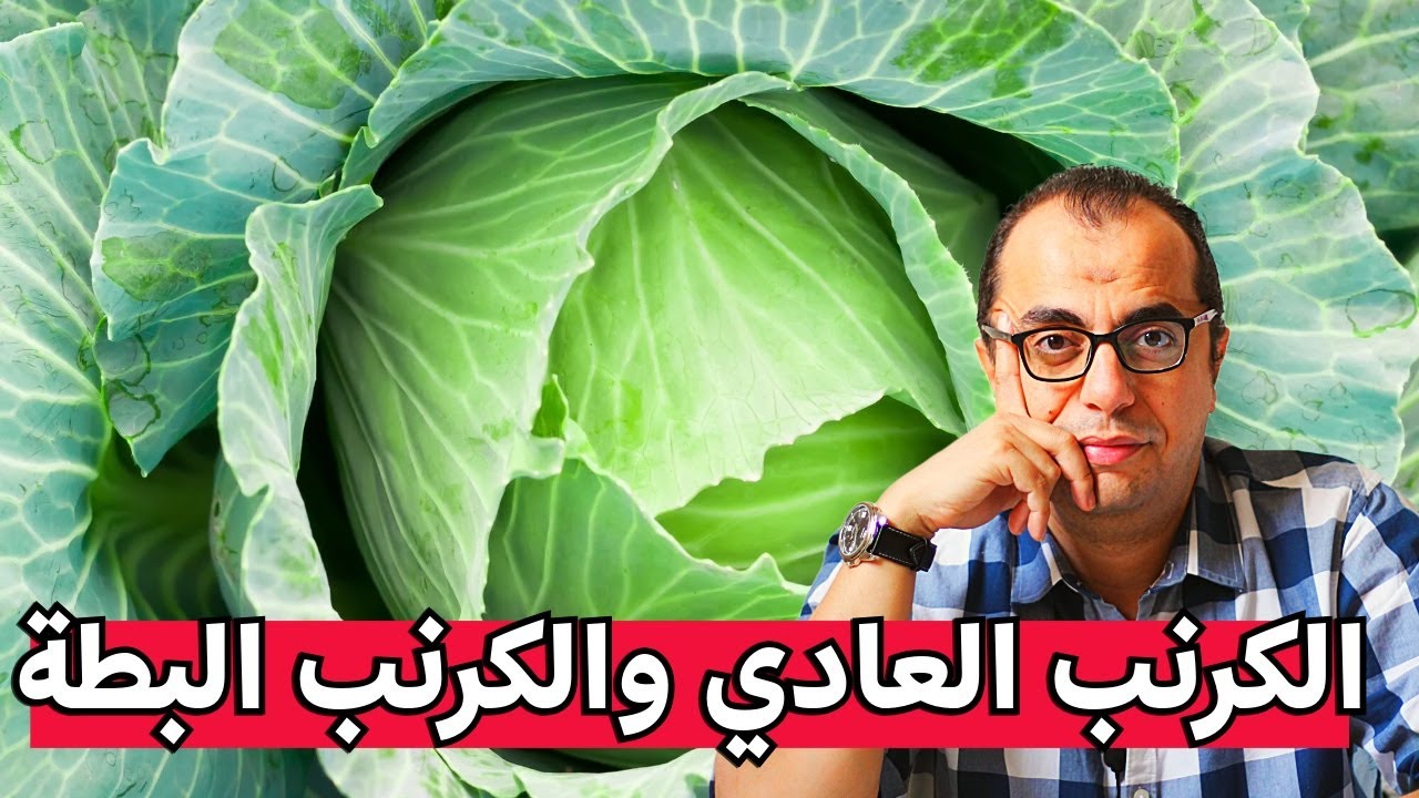 الكرنب والكرنب البطة - ليه الارز عليه زيت ؟