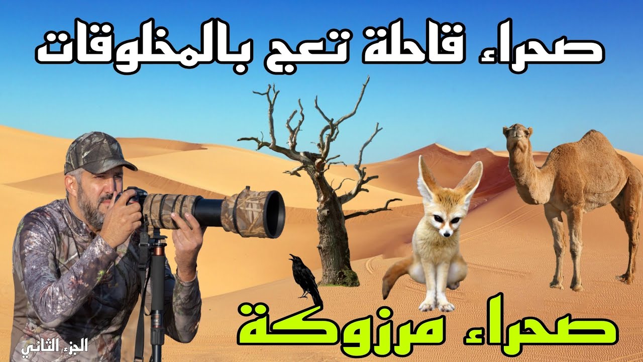 صحراء قاحلة تعج بالمخلوقات
