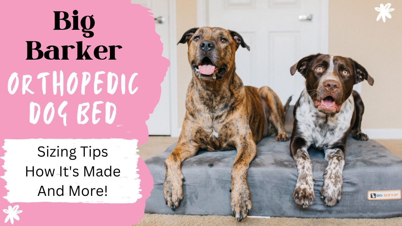 Best Orthopedic Dog Beds For Large Breeds: Big Barker Dog Bed Review