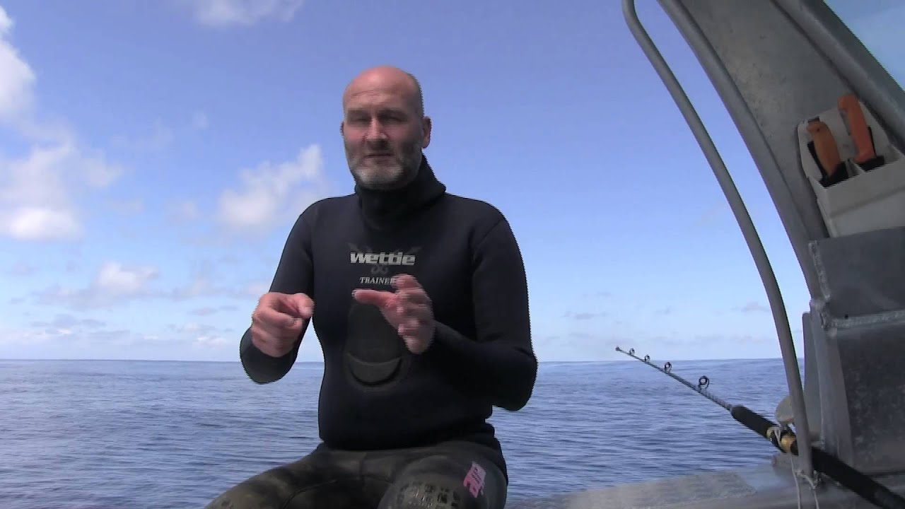 WettieTV - How to: 'Blue Water Spearfishing'