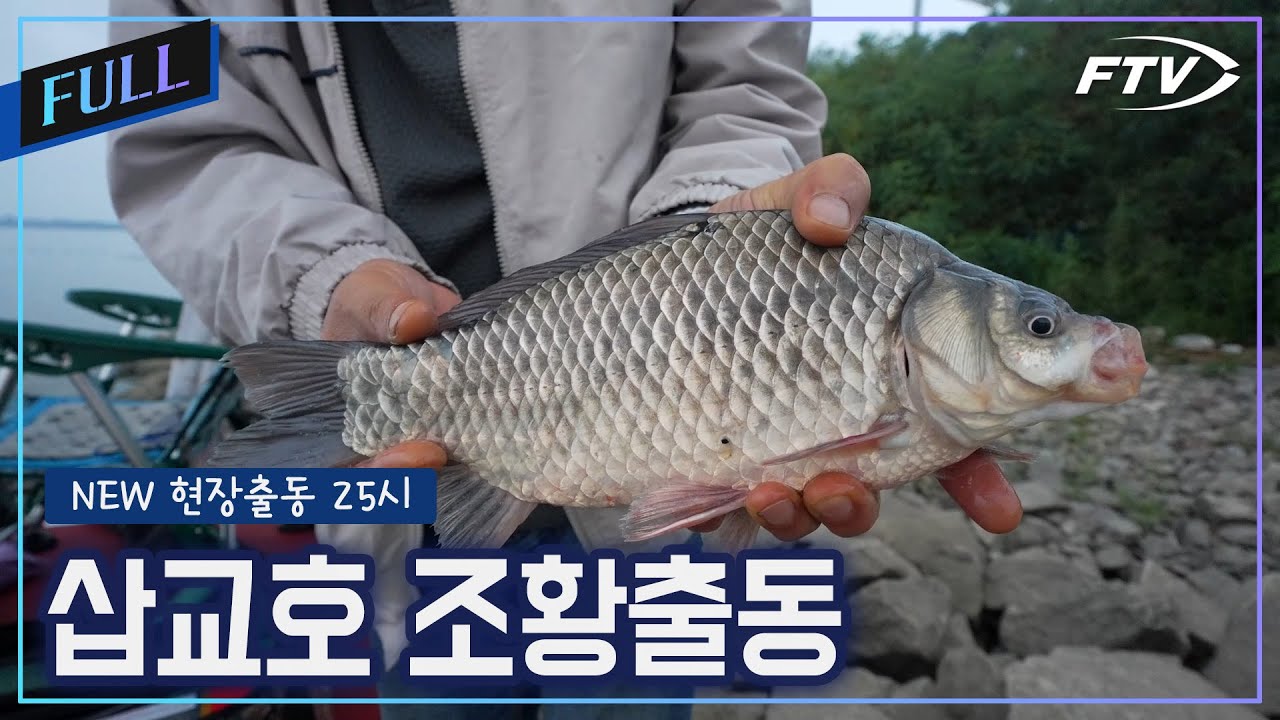삽교호 조황출동[NEW현장출동25시/100회]