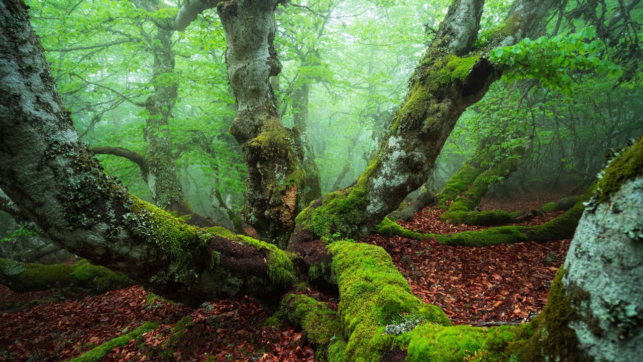 PARC NATUREL REGIONAL DU PILAT