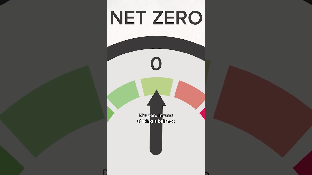 What is 'net zero'? 🏭 #netzero #climatechange #science