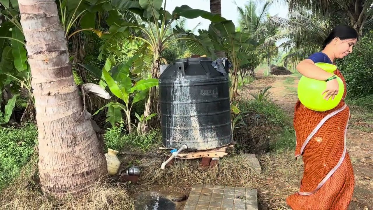 Village Style Ennegayi Akki Roti|Village Style Ennegayi|Village Style Roti|Family Traditional Life