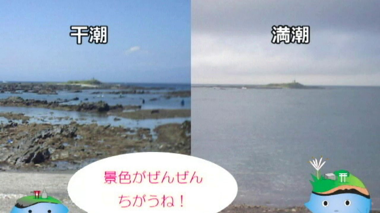 天神島臨海自然教育園～満潮と干潮をくらべてみよう～