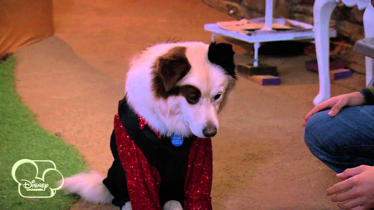Dog With A Blog | My Parents Posted What?! | Disney Channel UK