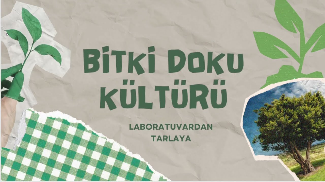 Bitki Doku Kültürü Ders 1 | Temel Kavramlar ve Uygulamalar