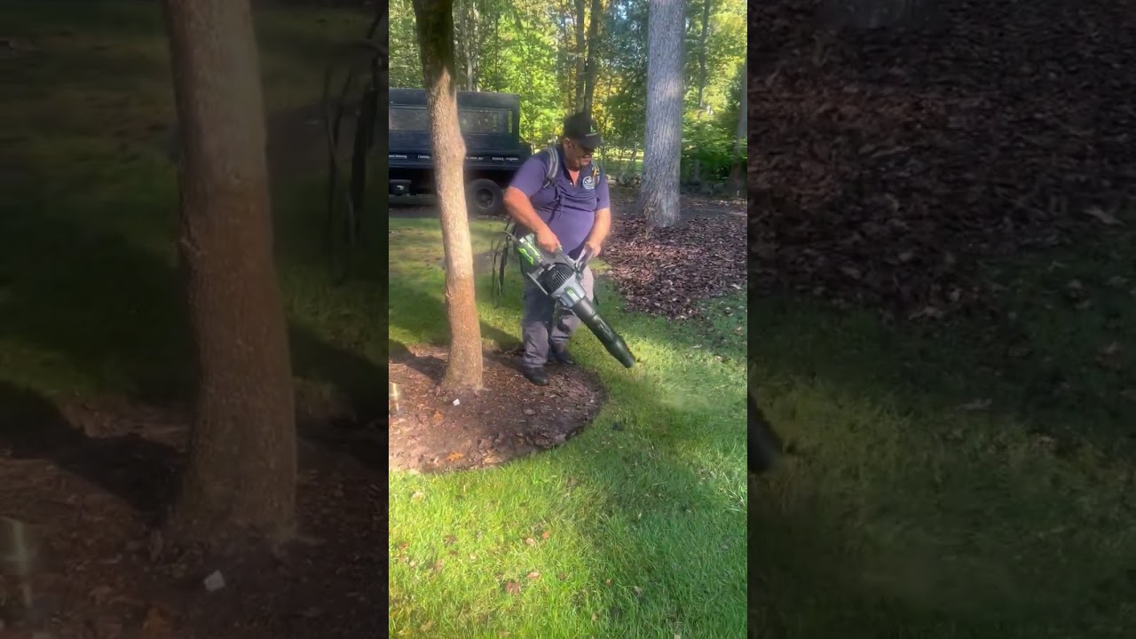 EGO HANDHELD LEAF BLOWER 1000 CFM  DARIEN CT TRY