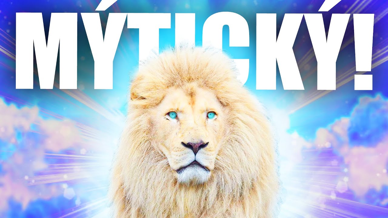 MŮJ NEJVZÁCNĚJŠÍ ÚLOVEK!!! 🦁