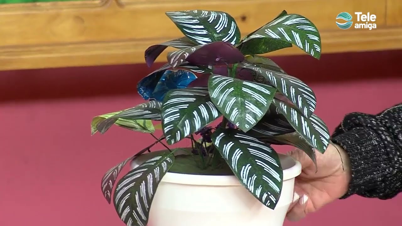 FLOR NAVIDEÑA ESCARCHADA DORADA en Aprenda y Venda - Teleamiga