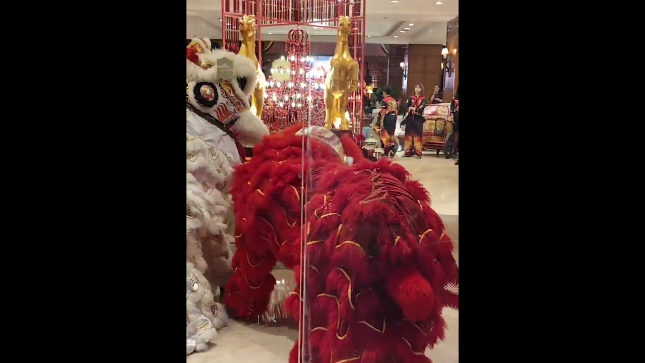 All Things Lion Dance 68 CNY Eve at Shangrilla Hotel