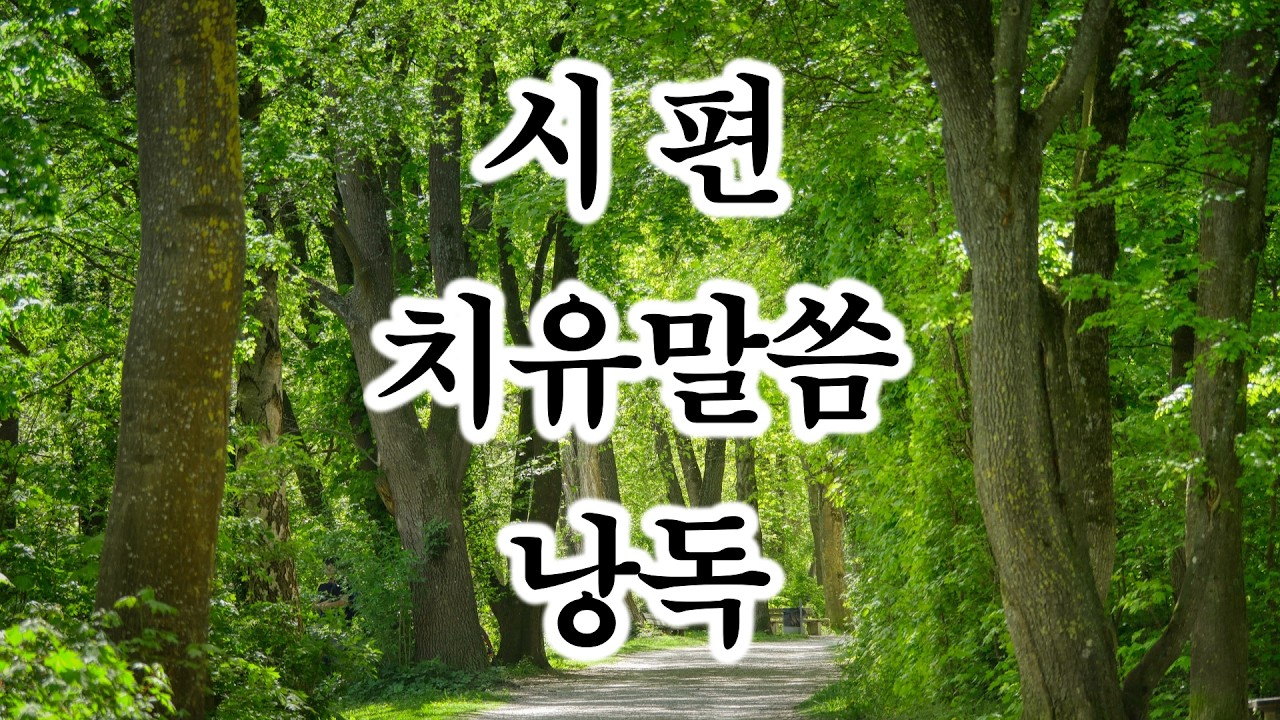 [시편] 치유 말씀 낭독 🙏 말씀 선포의 능력 |같이 읽어 보시길 추천합니다|