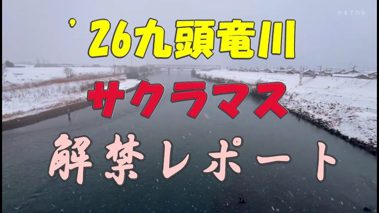 ’26九頭竜川解禁レポ