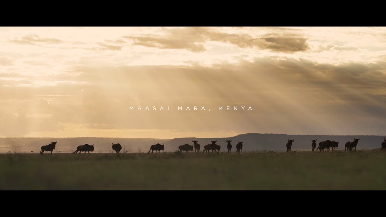 Masaai Mara, Kenya | Mission Trip