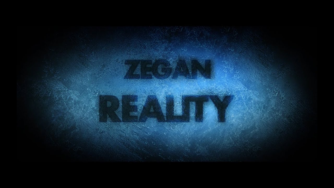 Zegan - Reality