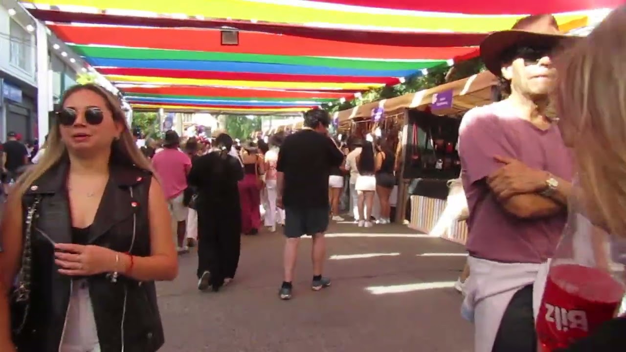 viajando por la fiesta de la vendimia por santa cruz colchagua