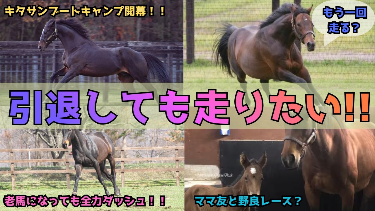 【引退後も走り続けた名馬4選】走るのが大好きすぎた伝説の競走馬たち