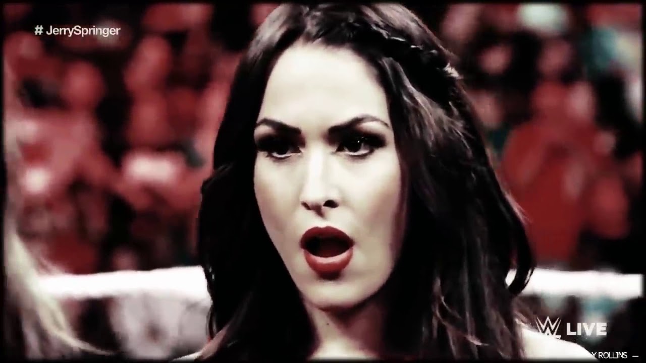 Brie Bella, Seth Rollins & Nikki Bella | Mirrors {Part  2}