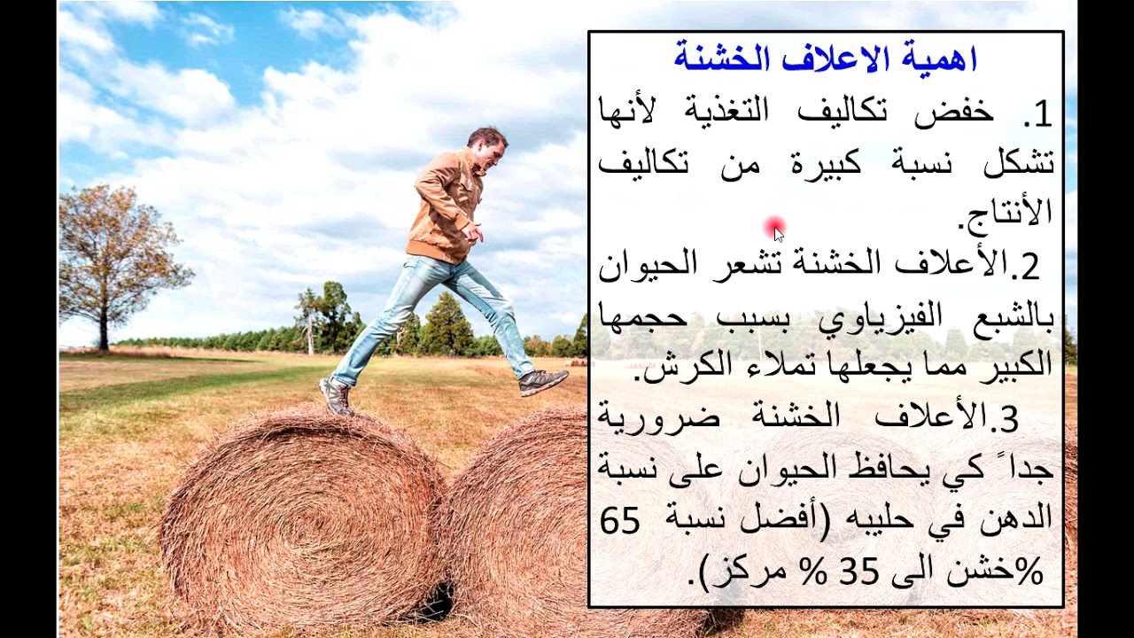 المحاضرة الثانية - الاحتياجات الغذائية للابقار