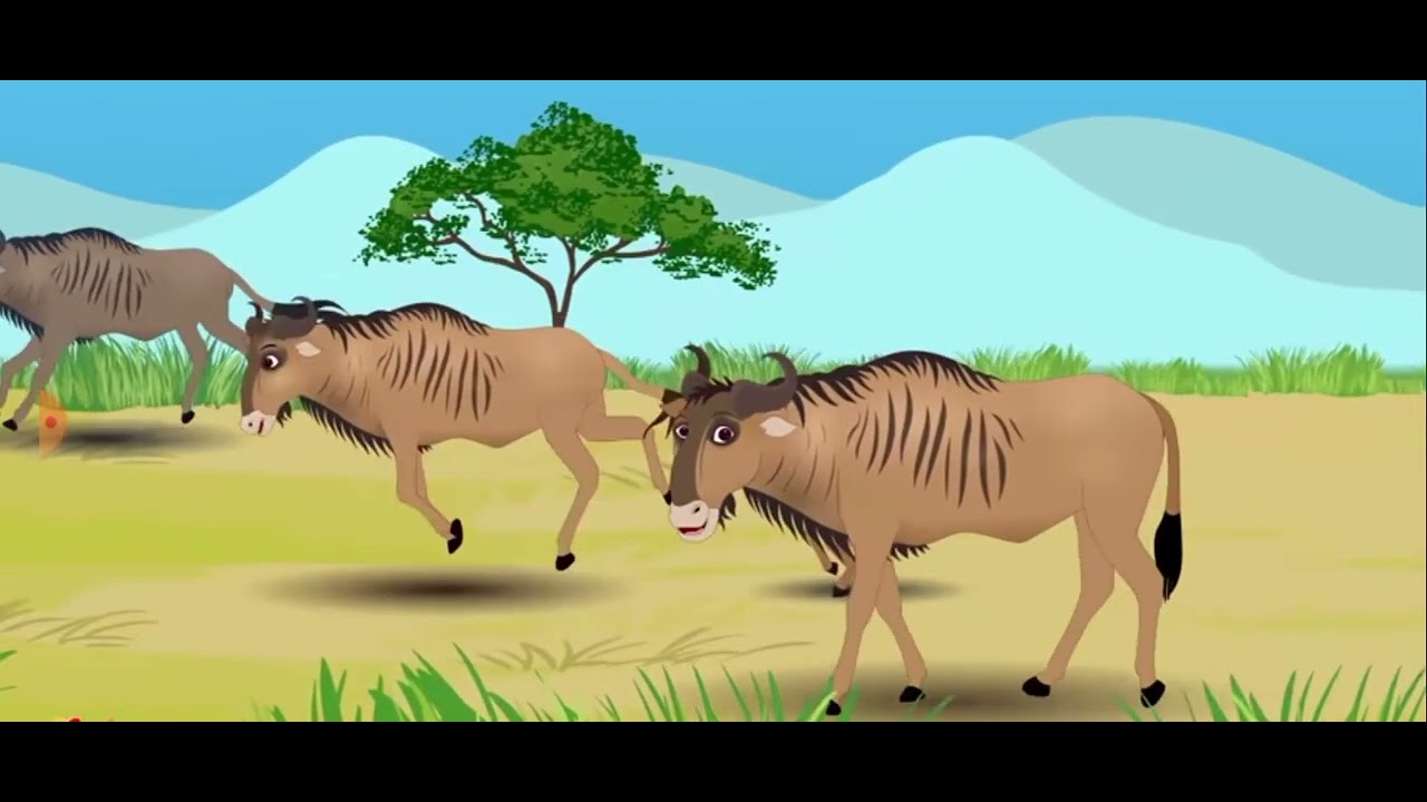 wildebeest rap